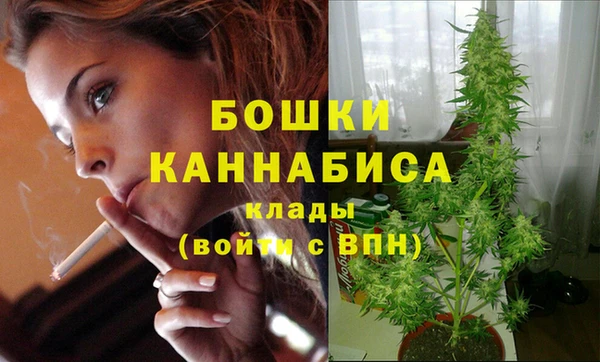 мескалин Осинники