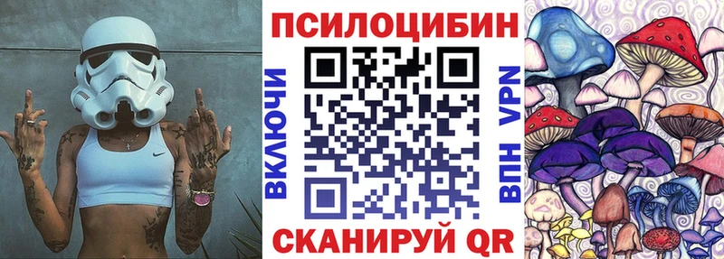 как найти закладки  Тырныауз  Псилоцибиновые грибы мухоморы 